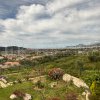 Вилла среди оливковых рощ в Баре, 214 м2 с садом площадью 1 177 м2 и великолепным, непреградным панорамным видом на море.