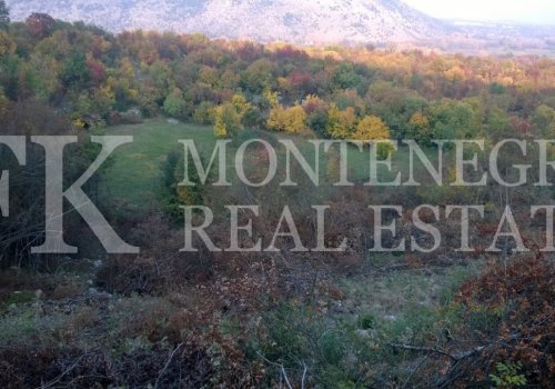 Sunny land plot, 15.600 m2, perfect for a vineyard and a small house, in the village of Baloci, Danilovgrad-Podgorica, Montenegro.