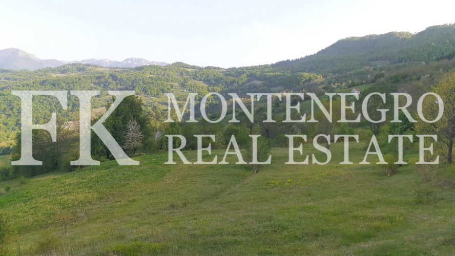 Agricultural property for organic farming, or for use as a meditation center, 166 613 m2, in Mojkovac Municipality, Montenegro.