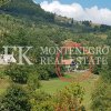 Agricultural property for organic farming, or for use as a meditation center, 166 613 m2, in Mojkovac Municipality, Montenegro.