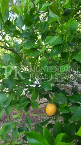 Reduced price! Cozy house on Lustica peninsula, 145m2, in a quiet village of Mardari, Herceg Novi municipality, Montenegro.