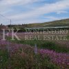 Very attractive offer! Beautiful, calm and peaceful land, 5.520m2, in Darza, municipality Ulcinj, perfect to live autarc, with 200 tangerine trees and more fruits. In Montenegro