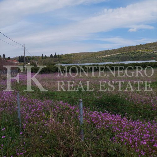 Very attractive offer! Beautiful, calm and peaceful land, 5.520m2, in Darza, municipality Ulcinj, perfect to live autarc, with 200 tangerine trees and more fruits. In Montenegro
