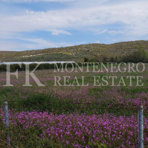 Very attractive offer! Beautiful, calm and peaceful land, 5.520m2, in Darza, municipality Ulcinj, perfect to live autarc, with 200 tangerine trees and more fruits. In Montenegro