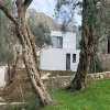 New and modern house, 160m2, in Bar, nestled on a gentle hill among olive trees, overlooking the sea, the city, the harbor, the old town, and the surrounding mountains.