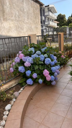 Renovated 167 m² House with Sea View in Dobra Voda – Dubrava-Pečurice, Just 10 Minutes from the Beach